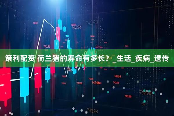 策利配资 荷兰猪的寿命有多长？_生活_疾病_遗传