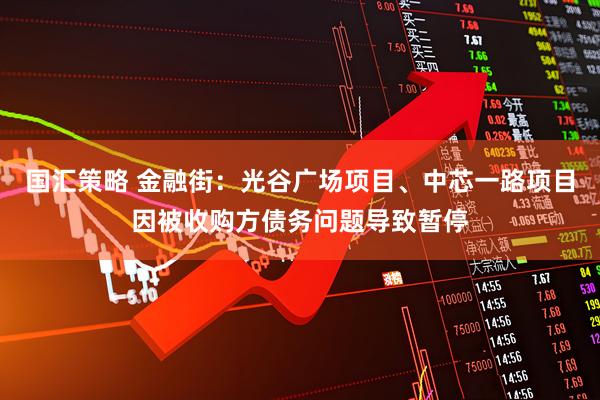 国汇策略 金融街：光谷广场项目、中芯一路项目因被收购方债务问题导致暂停