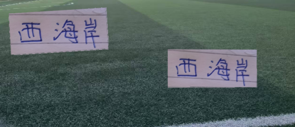 启运操盘 这是要狙击申花吗！西海岸特意跑到上海集训 还跟海港打教学赛